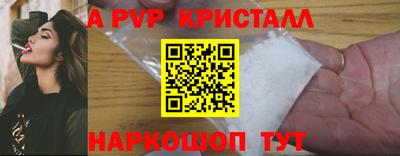гидра Славгород