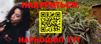 гидра Славгород