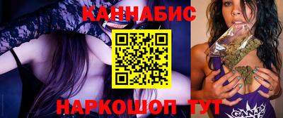 гидра Славгород