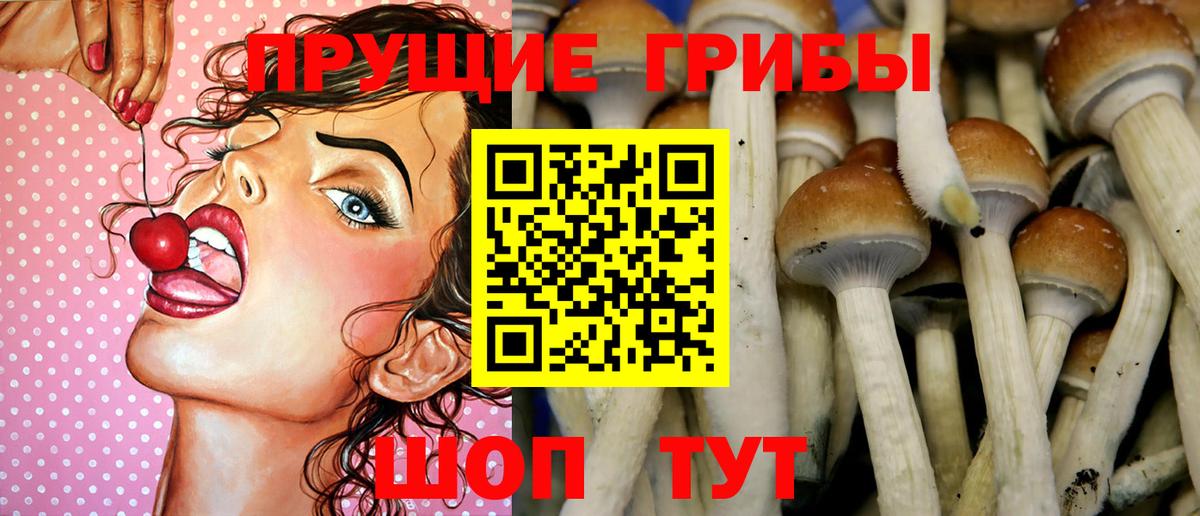 Псилоцибиновые грибы ЛСД Осинники