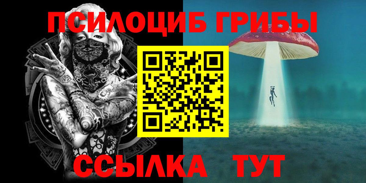 Галлюциногенные грибы Psilocybe  Вход с VPN  Псилоцибиновые грибы мухоморы  Осинники 